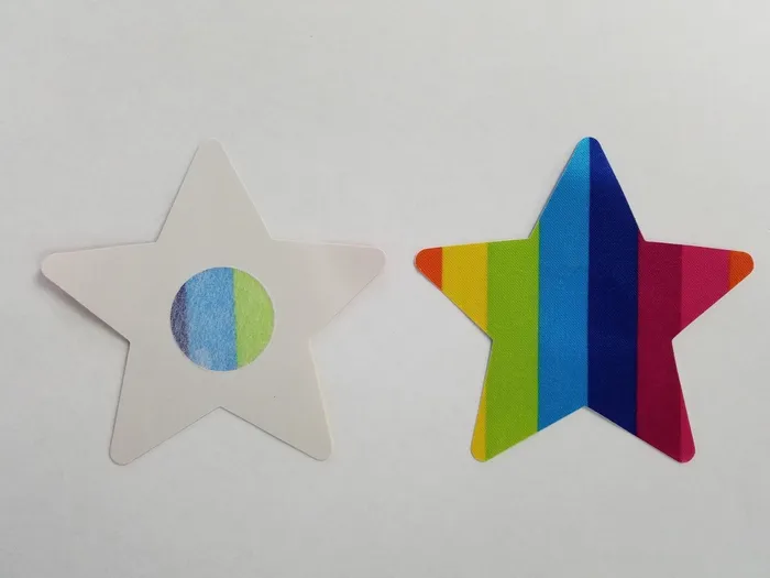 Perfectly Incorrect Anal | Rainbow Satin Star Pasties