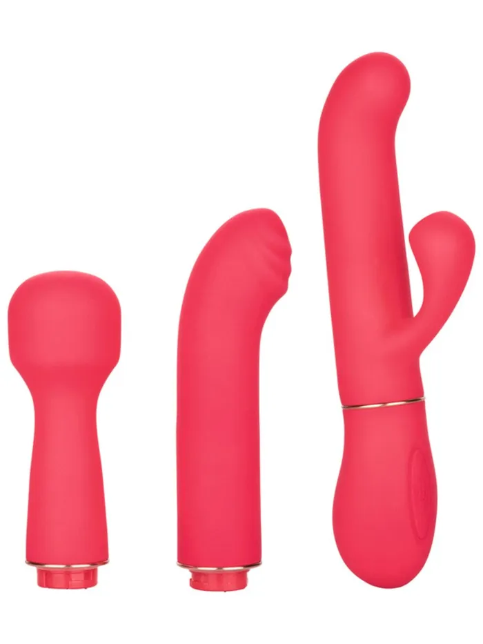 Vibrators | CalExotics In Touch Passion Trio Vibrator Kit