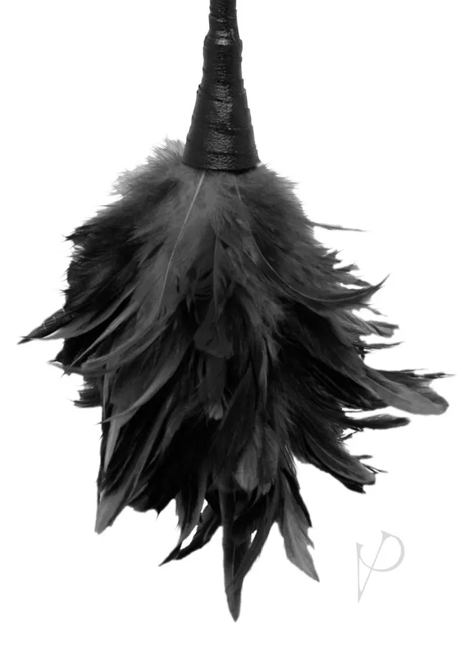 Fetish Fantasy Series Couples Fetish Fantasy Series Frisky Feather Duster