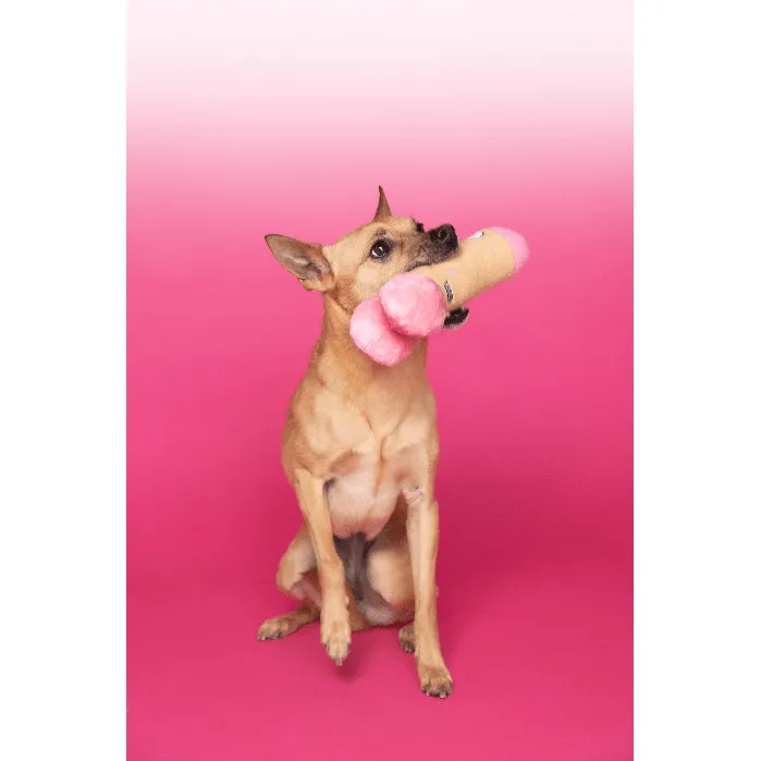 Scruffy Vibrators | Scruffy - Peter Woofington